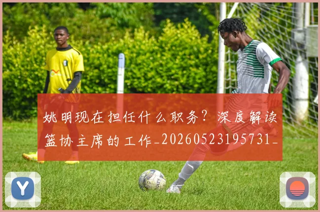 姚明现在担任什么职务?深度解读篮协主席的工作_20260523195731_20260703232858