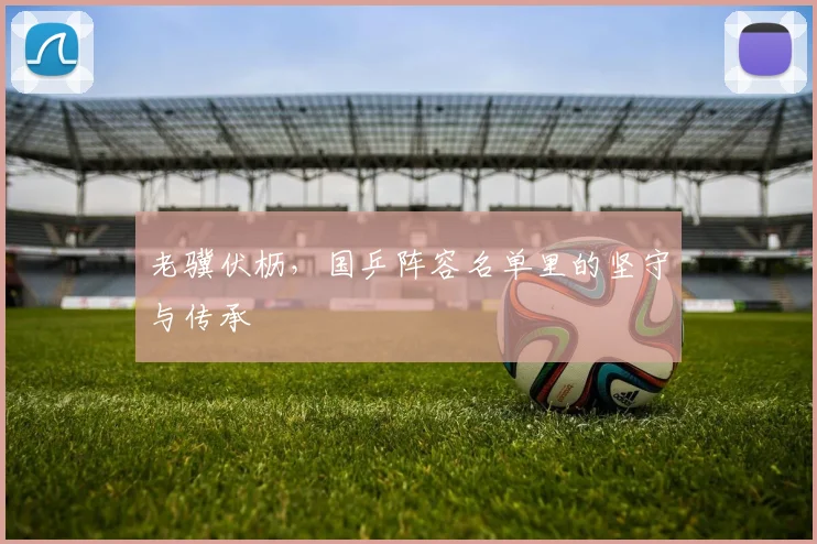 老骥伏枥,国乒阵容名单里的坚守与传承