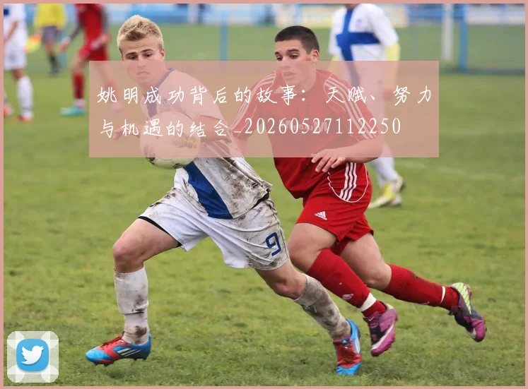 姚明成功背后的故事:天赋、努力与机遇的结合_20260527112250