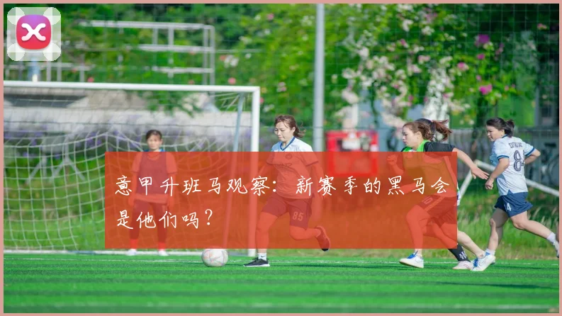 意甲升班马观察:新赛季的黑马会是他们吗?