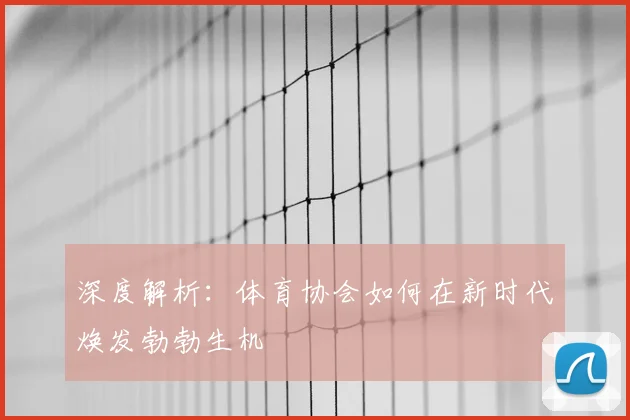 深度解析:体育协会如何在新时代焕发勃勃生机